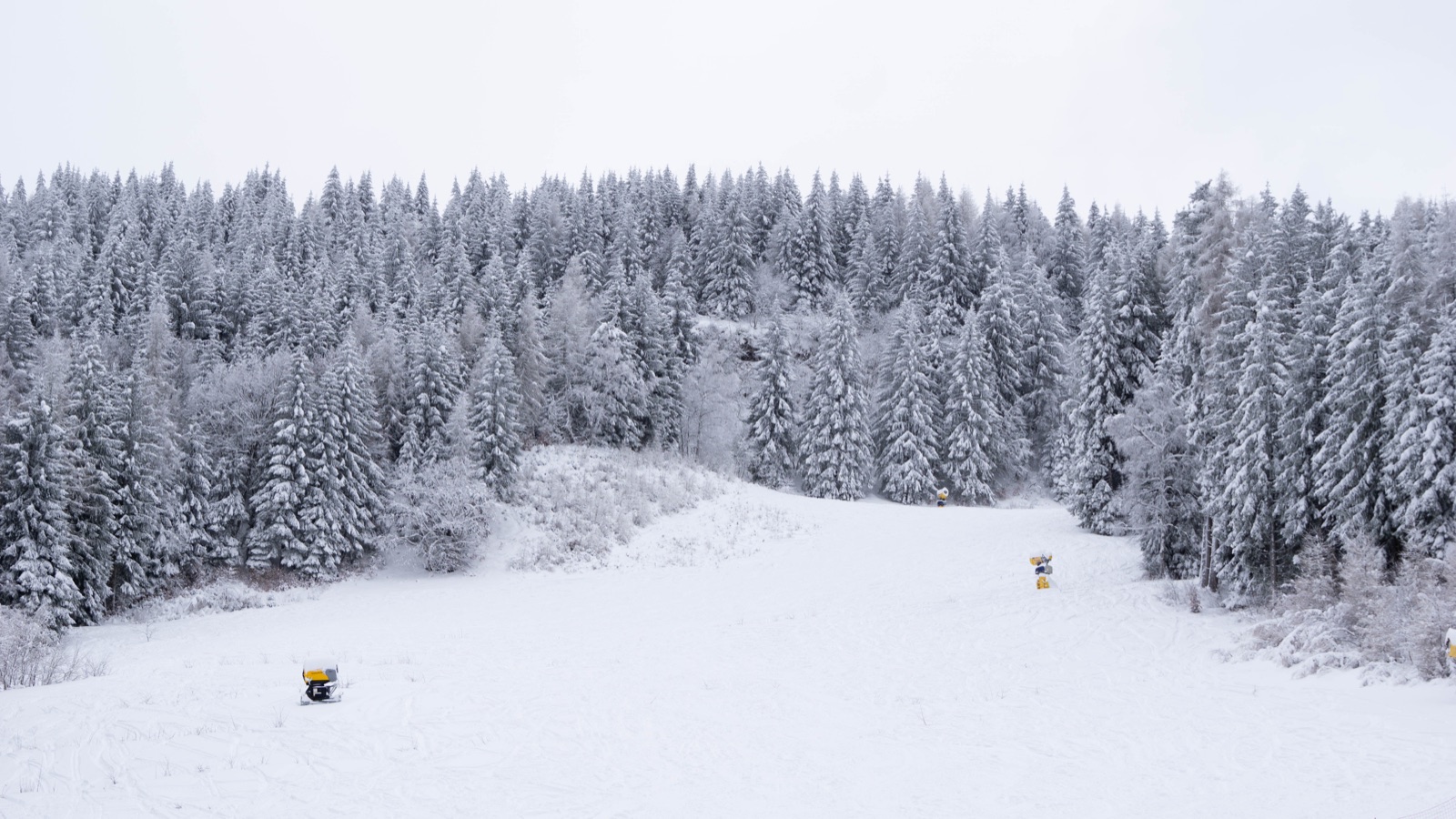 La pista innevata tra i boschi del Bondone