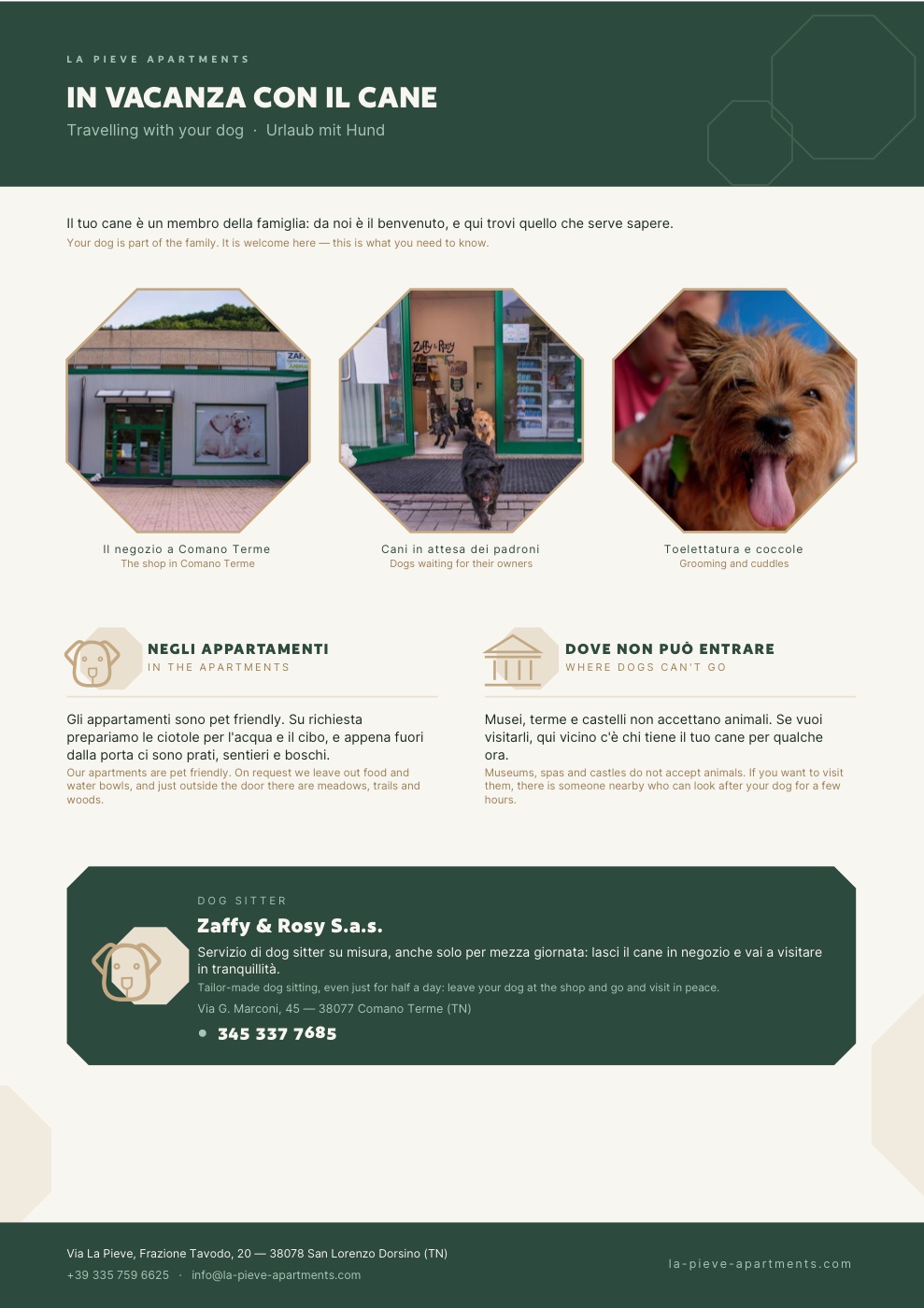 Guida: in vacanza con il cane