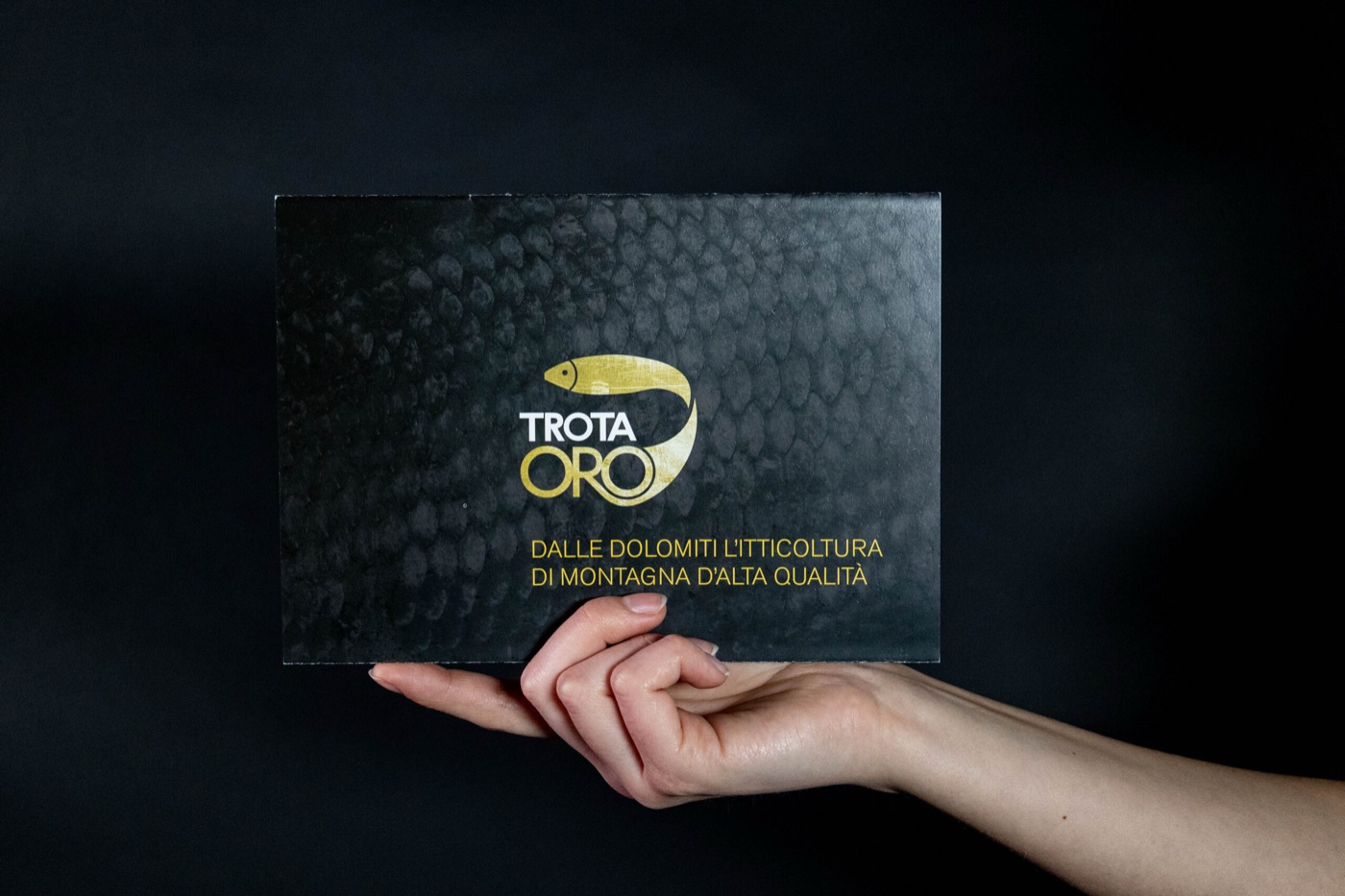 Una mano tiene la scatola nera di Trota Oro